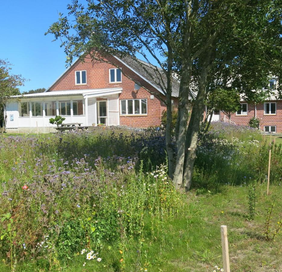 Aktivitetshuset Solhjem Vandrerhjem Hjørring Eksteriør bilde
