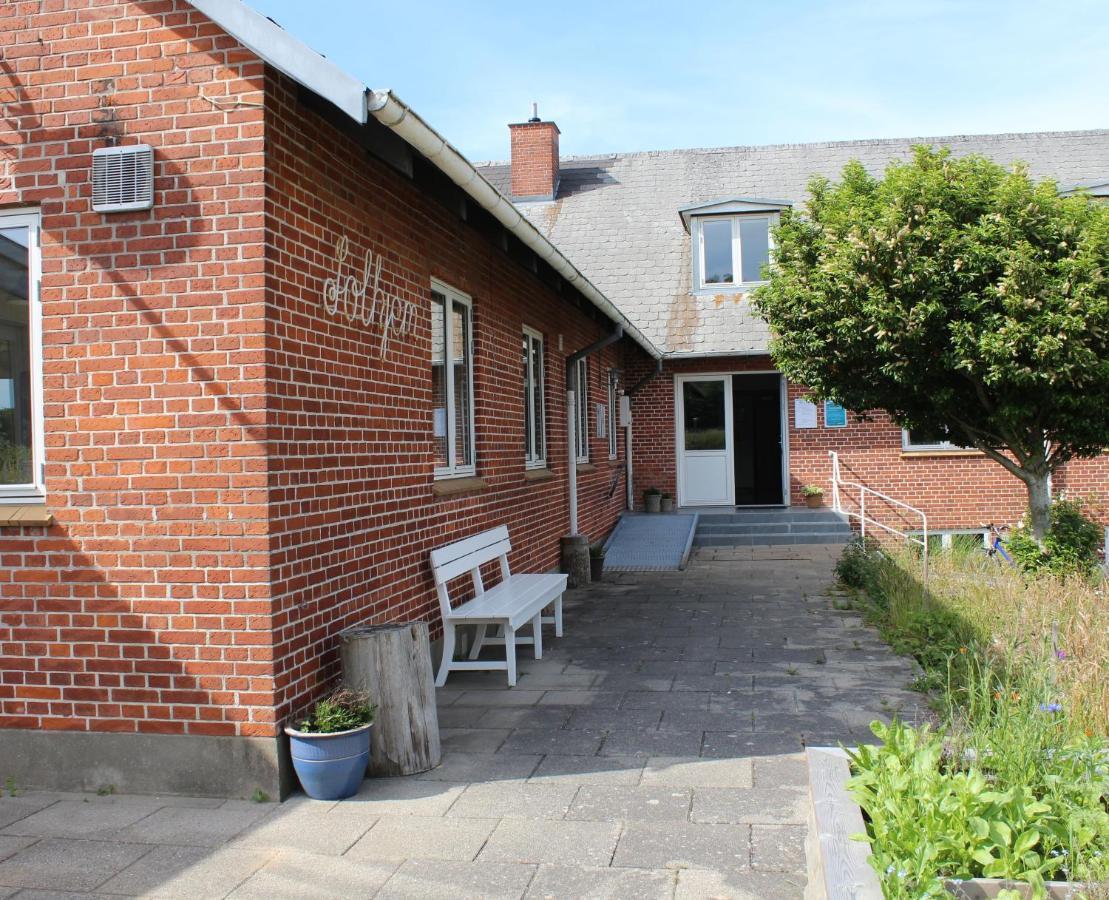 Aktivitetshuset Solhjem Vandrerhjem Hjørring Eksteriør bilde
